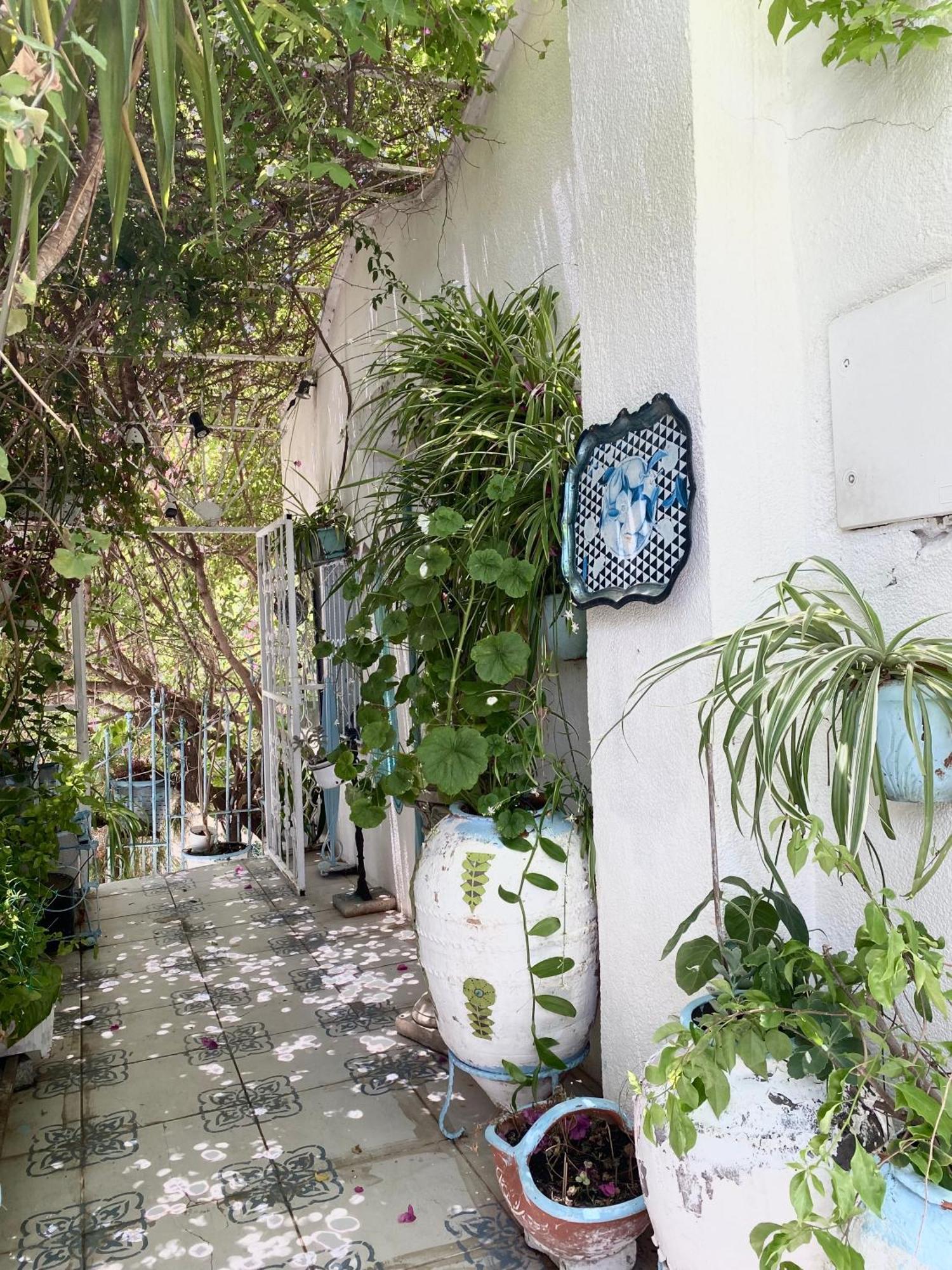 Sofi Suites بودروم المظهر الخارجي الصورة